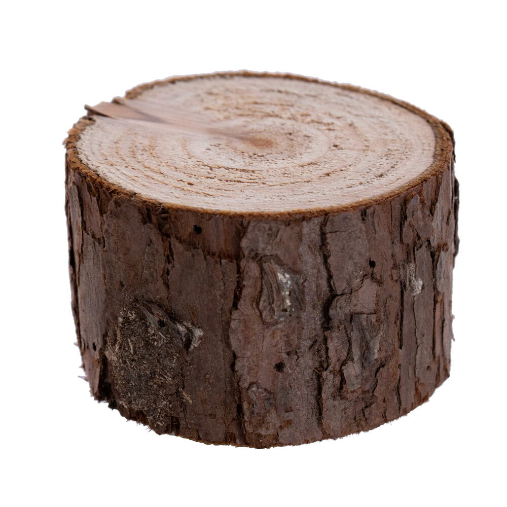 Vickerman 12" Carmel Pine Artificial Christmas Tree Unlit