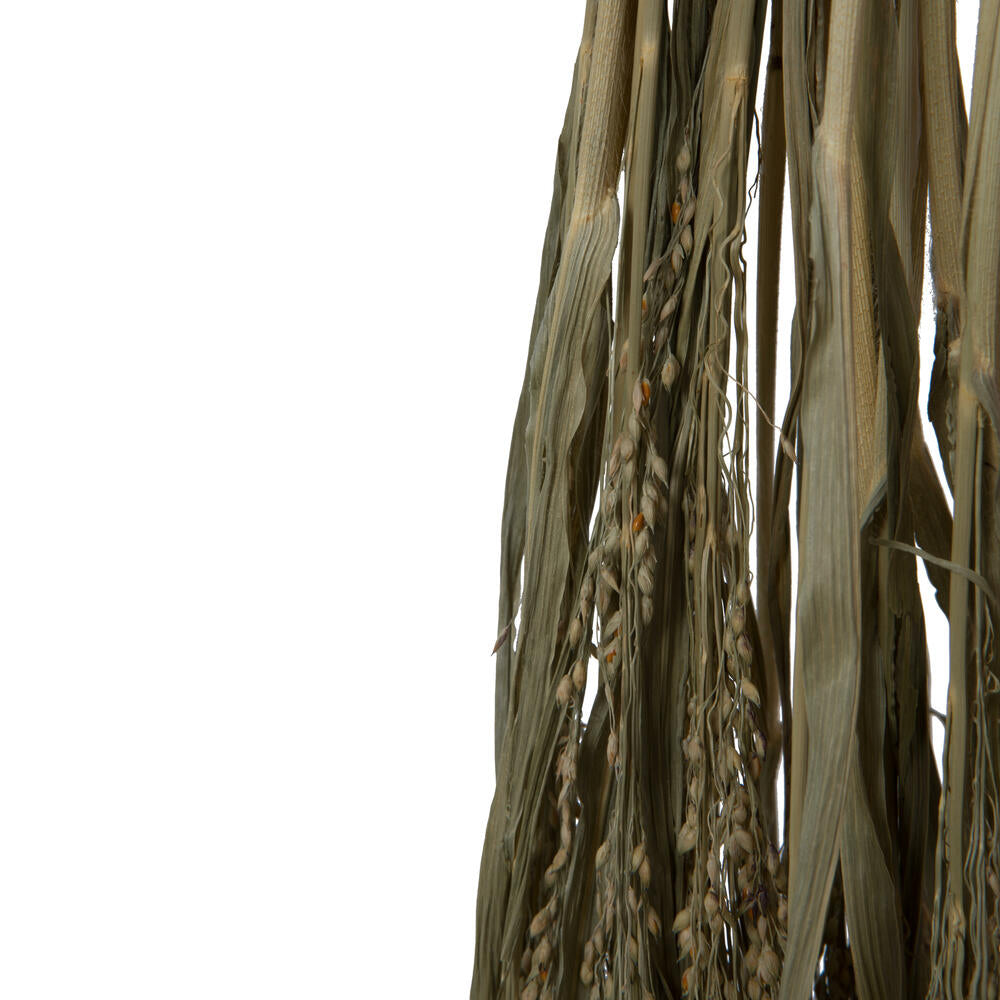Vickerman Natural Botanicals 22-26" Natural Dried Panicum 4 oz. Bunch.