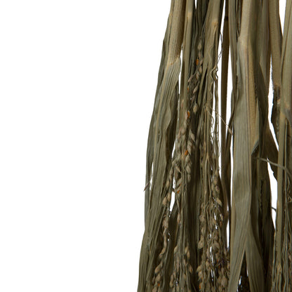 Vickerman Natural Botanicals 22-26" Natural Dried Panicum 4 oz. Bunch.