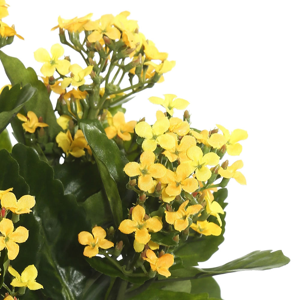 Vickerman 17.25" Artificial Yellow Kalanchoe Bush.