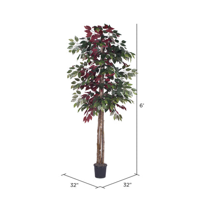 Vickerman 6' Artificial Capensia Deluxe Black Plastic Pot