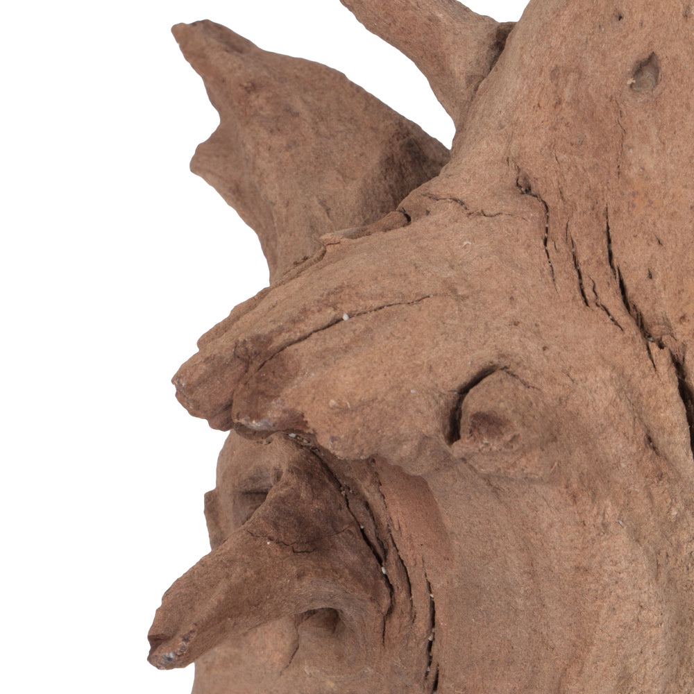 Vickerman Ghostwood Manzanita Sand Blasted 18" Dried
