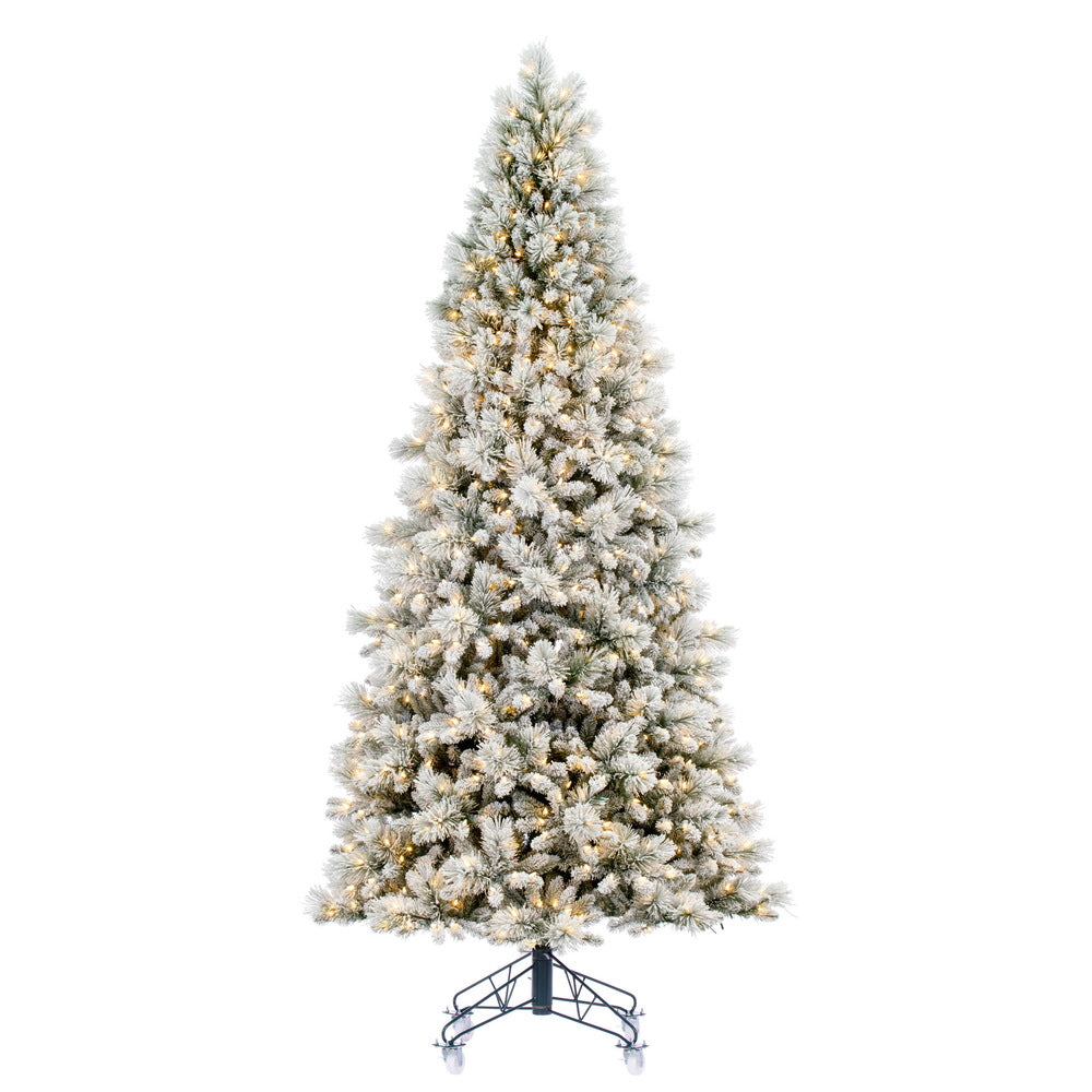 Vickerman 12' x 64" Flocked Jackson Pine Artificial Pre-Lit Christmas Tree Warm White Lights