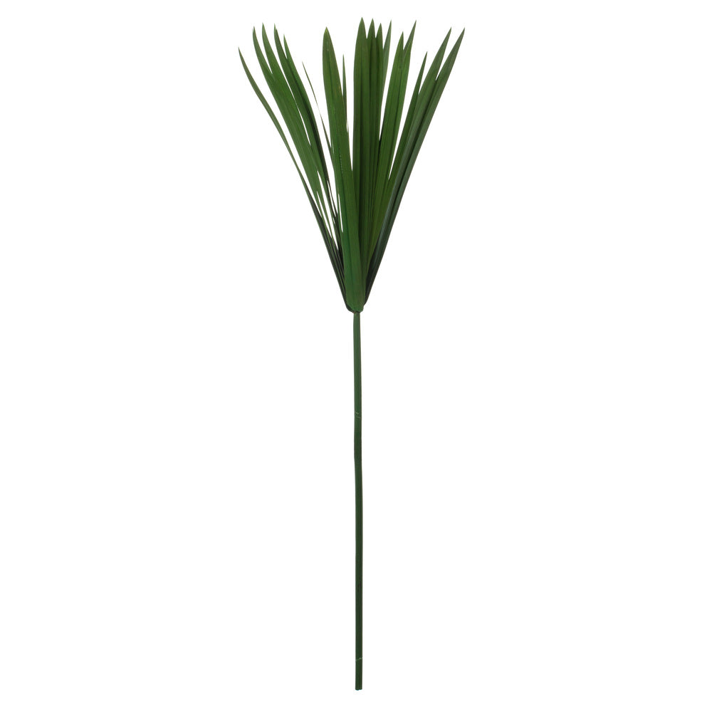 Vickerman 24-30" Green Papyrus XL 6 stem Bunch Preserved