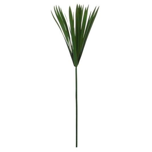Vickerman 24-30" Green Papyrus XL 6 stem Bunch Preserved