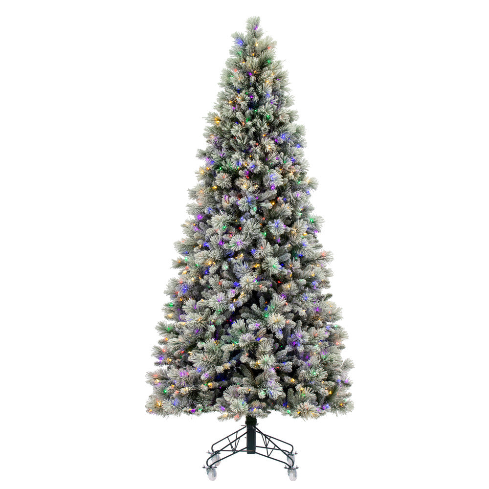 Vickerman 12' x 64" Flocked Jackson Pine Artificial Pre-Lit Christmas Tree Multi-Colored Lights