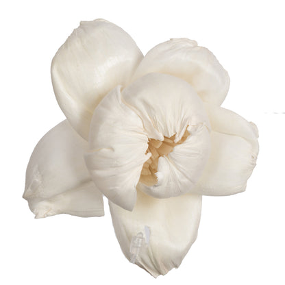 Vickerman Natural Botanicals 1.6"/2.4"/3.2" Assorted Natural Dried Rosette Sola Flower Head 24/bag.