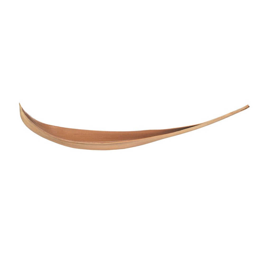 Vickerman 42-45" Natural Palm Paddles - XL bulk 2 pack Dried