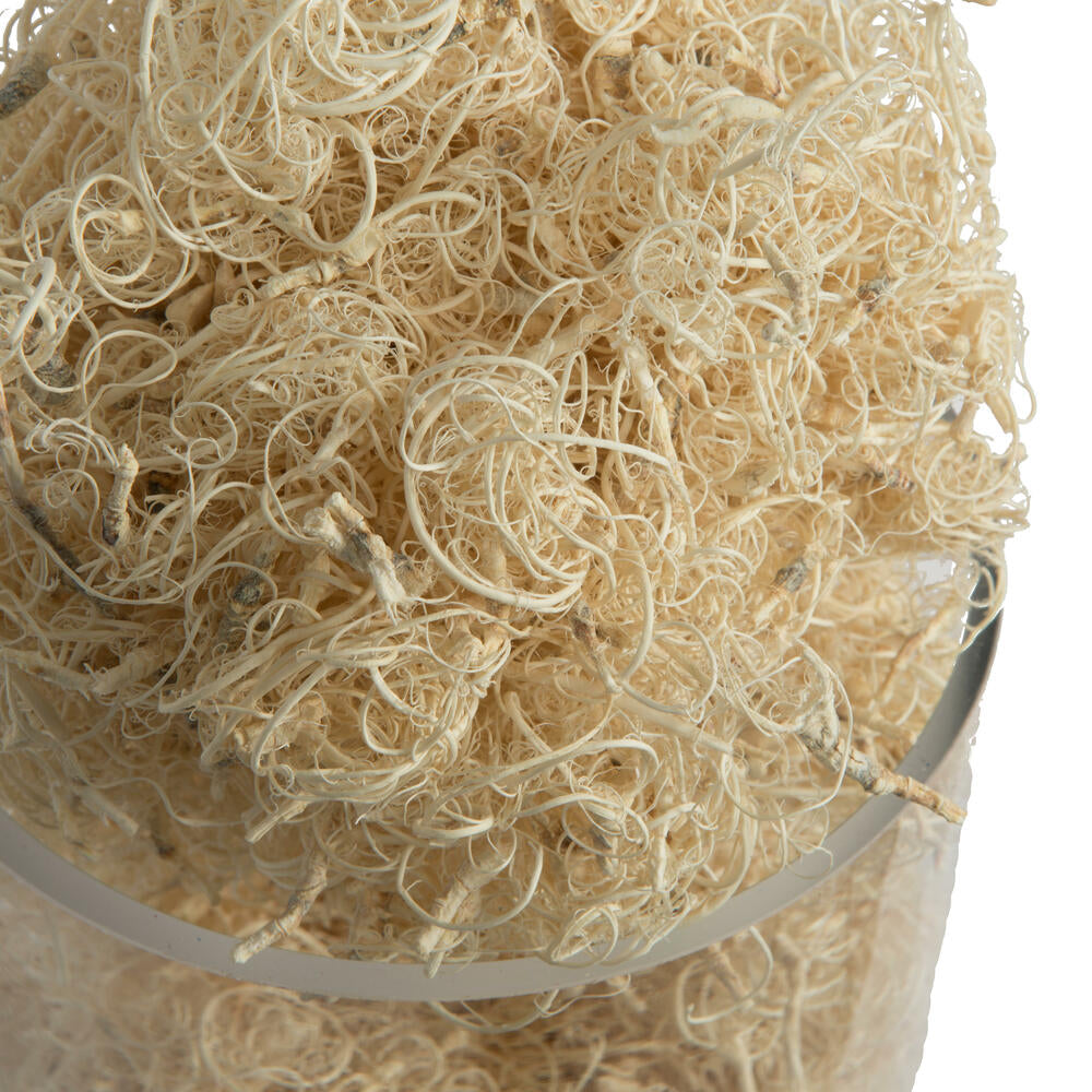 Vickerman Natural Botanicals Curly Moss Bleached. Includes 2.2 Lbs per pack