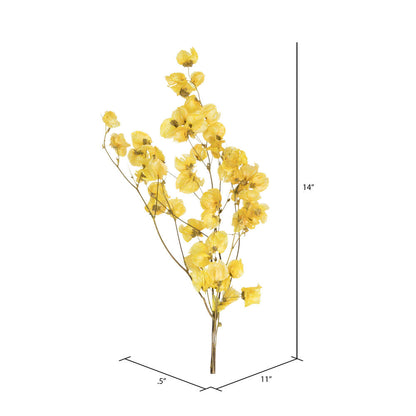 Vickerman 13.5-17" Yellow Dried Cara Blossom Bundle Preserved.