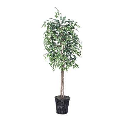Vickerman 6' Artificial Variegated Ficus Rattan Basket