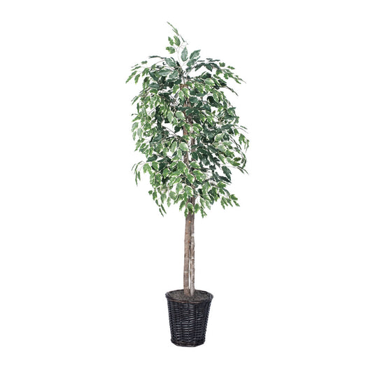 Vickerman 6' Artificial Variegated Ficus Rattan Basket