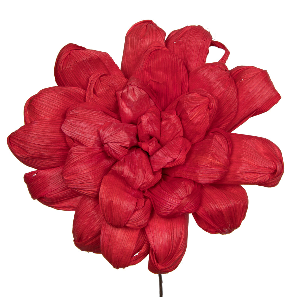 Vickerman Natural Botanicals 6" Red Maize Dahlia. 6 stem/bag. Dried and preserved.