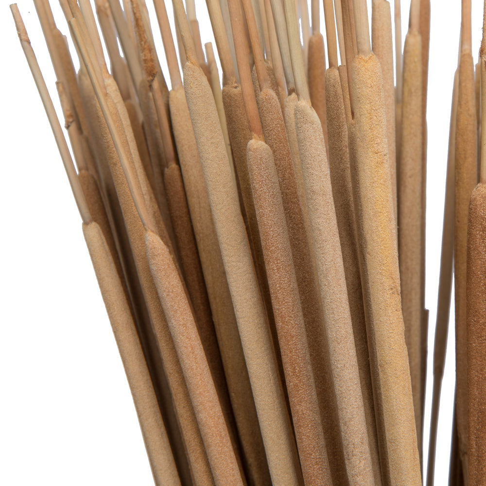 Vickerman Natural Botanicals 24" Reed Spadix Pencil. Includes 150 pieces per Pack.
