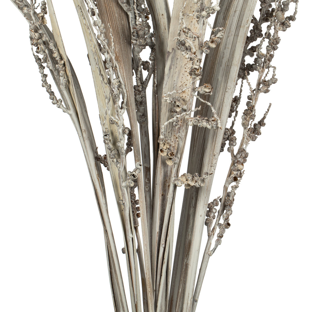 Vickerman 36" White Wash Bahia Spears with Seeds 2 pack Dried