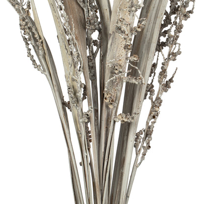 Vickerman 36" White Wash Bahia Spears with Seeds 2 pack Dried