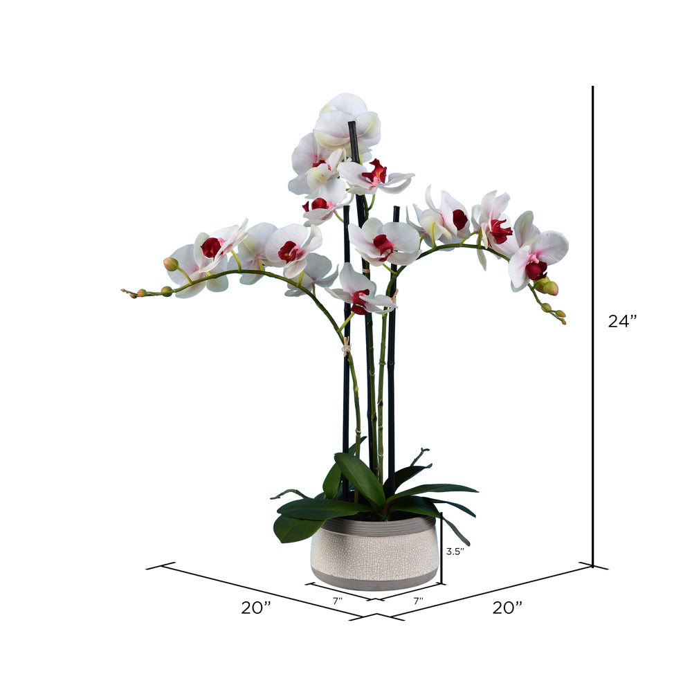 Vickerman 24" Artificial Pink Orchid in Ceramic Pot.