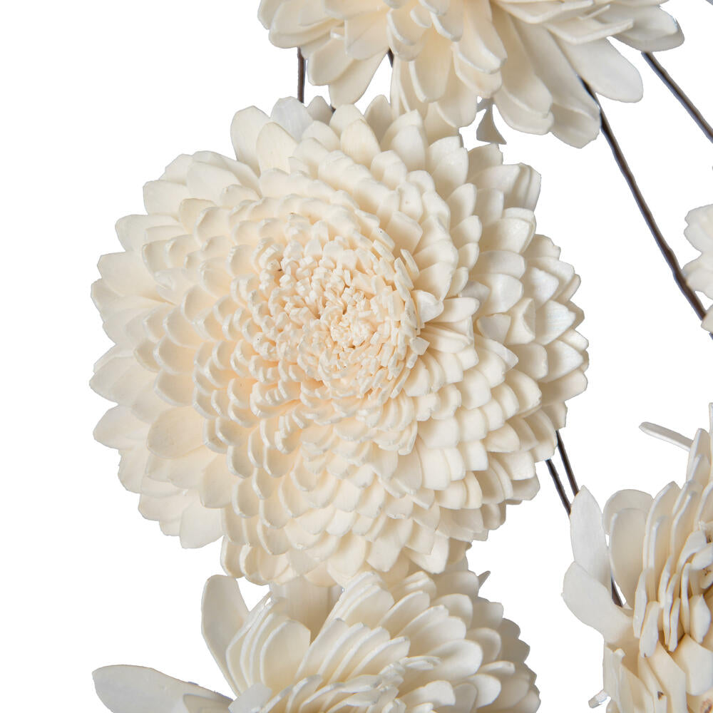 Vickerman Natural Botanicals 4" Natural Dried Zinnia Sola Flower on 12" wire stem- 12 stem/polybag.