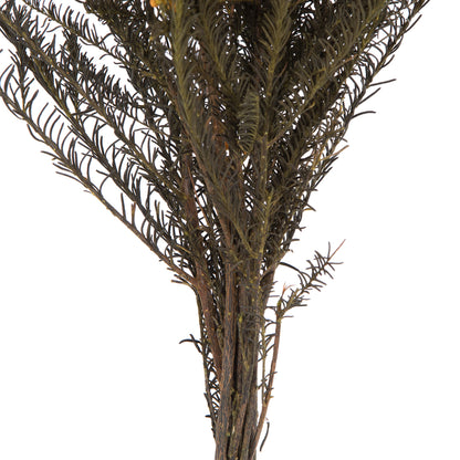 Vickerman 16" Autumn Rice Flower. Comes in a 4.25 oz Bundle. Preserved