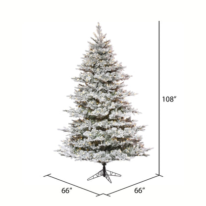Vickerman 9' x 66" Flocked Kiana Artificial Christmas Tree Dura-Lit® LED Warm White Mini Lights