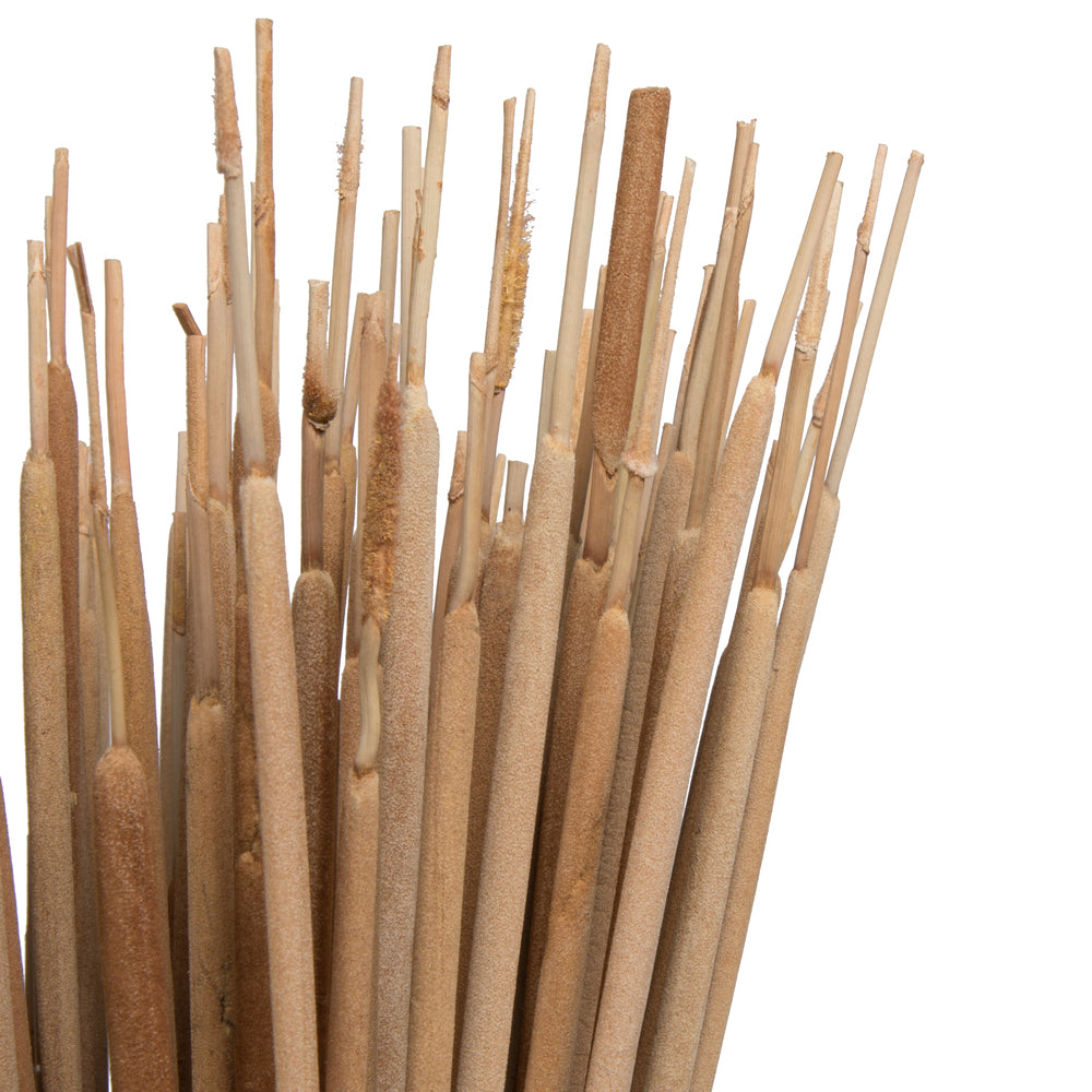Vickerman Natural Botanicals 24" Reed Spadix Pencil. Includes 150 pieces per Pack.