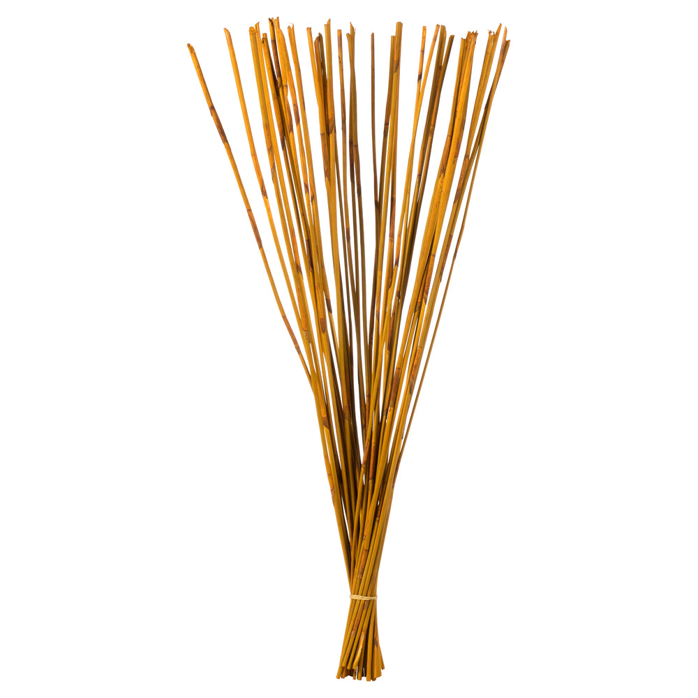 Vickerman 40" Aspen Gold Elephant Reed 10 oz Bundle Dried