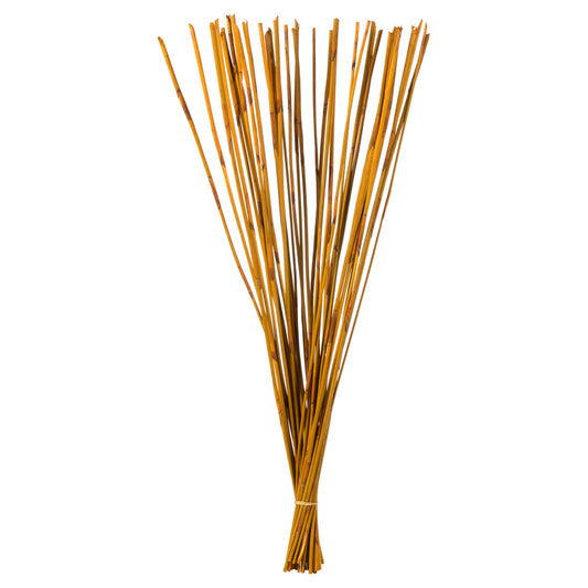 Vickerman 40" Aspen Gold Elephant Reed 10 oz Bundle Dried