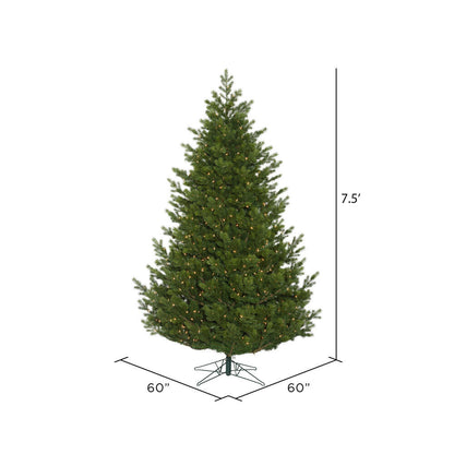 Vickerman 7.5' x 60" Eagle Fraser Full Artificial Christmas Tree Clear Dura-lit Lights
