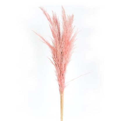 Vickerman 46" Preserved Salmon Pampas Grass 6 pack. It includes two stems. Recommended for Indoor.