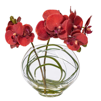 Vickerman 9.8" Artificial Red/Purple Butterfly Orchid In Glass Pot.