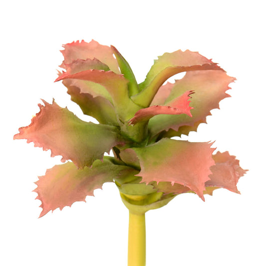 Vickerman 5" Artificial Red and Green Adromischcus Pick Set of 3