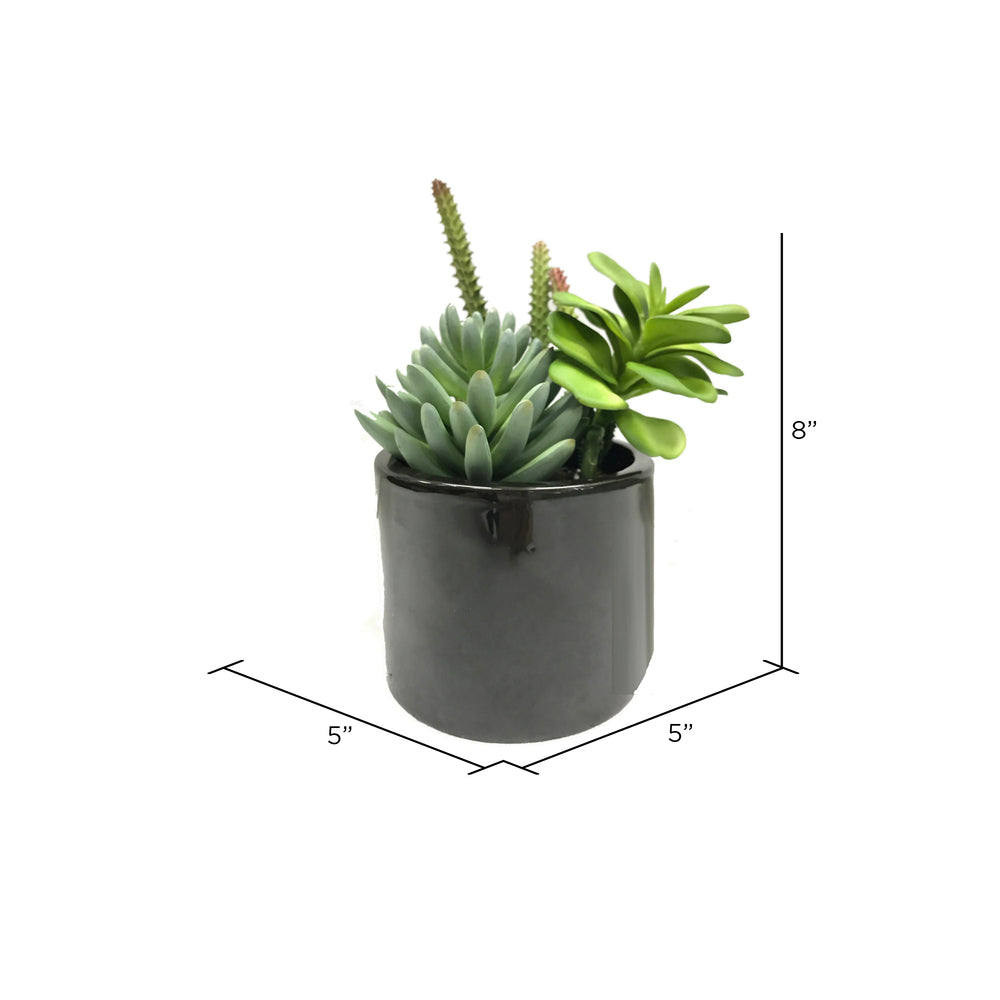 Vickerman 8" Artificial Green Succulents in Cement Pot.
