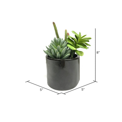 Vickerman 8" Artificial Green Succulents in Cement Pot.