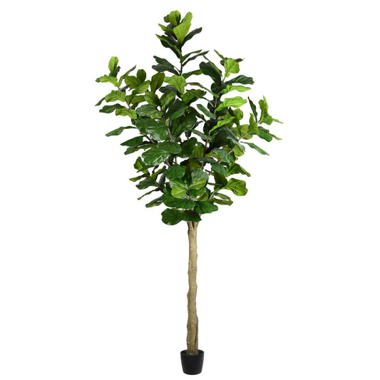 Vickerman 10' Artificial Potted Fiddle Tree.
