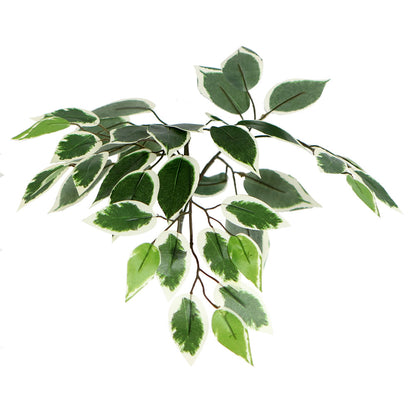 Vickerman 6' Artificial Variegated Ficus Tree Gray Round Plastic Container.
