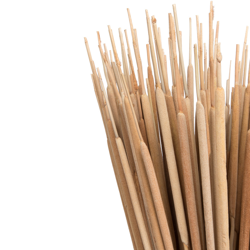 Vickerman Natural Botanicals 24" Reed Spadix Pencil. Includes 150 pieces per Pack.