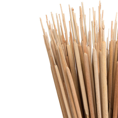 Vickerman Natural Botanicals 24" Reed Spadix Pencil. Includes 150 pieces per Pack.