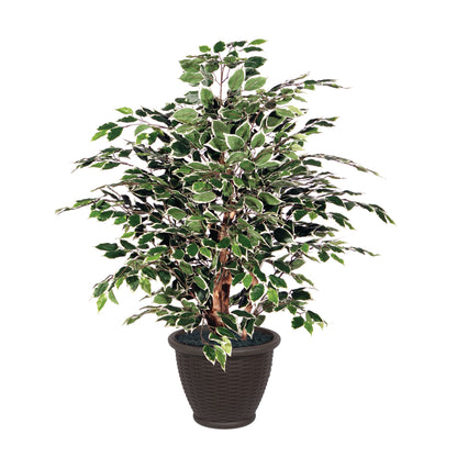 Vickerman 4' Artificial Variegated Ficus Extra Full Bush Brown Plastic Container.