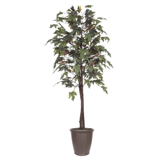 Vickerman 6' Artificial Frosted Maple Black Plastic Pot