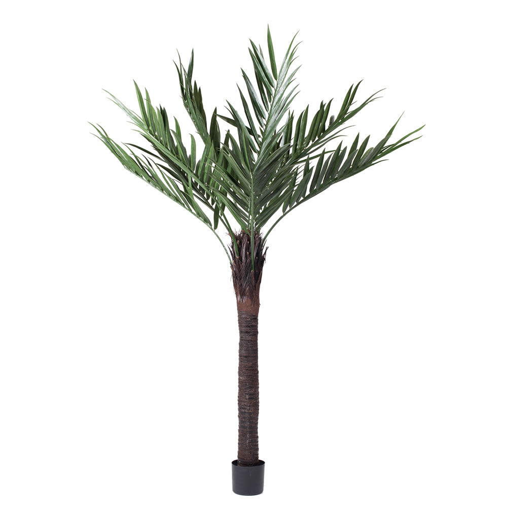 Vickerman 72" Artificial Kentia Palm.