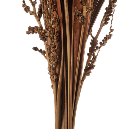 Vickerman 36" Natural Bahia Spears with Seeds 2 pack Dried