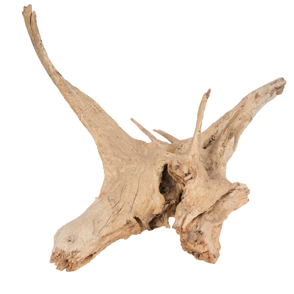 Vickerman 17-24" Bleached Roots - Amazonian Large 1 piece Dried