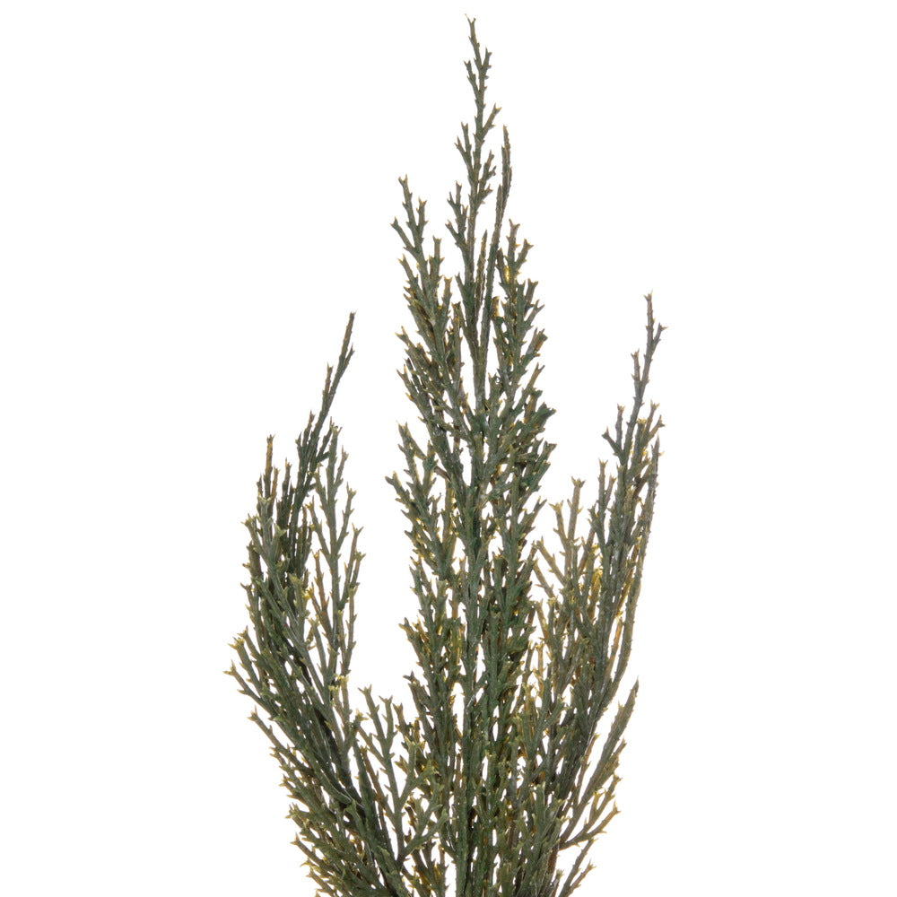 Vickerman 26" Artificial Green Cedar Wreath.