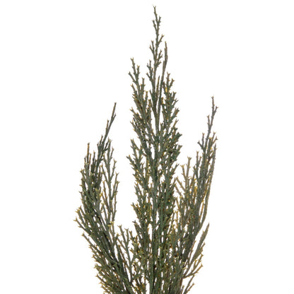 Vickerman 26" Artificial Green Cedar Wreath.
