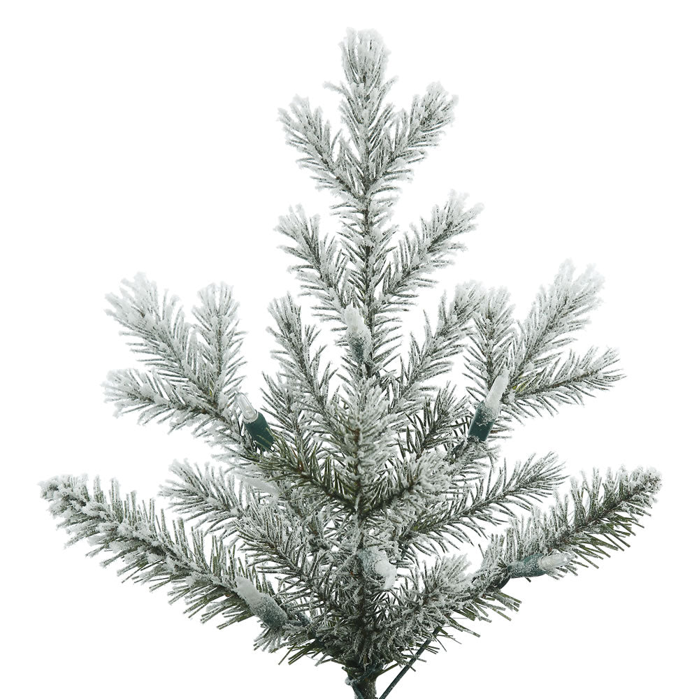 Vickerman 12' Frosted Eastern Fraser Fir Artificial Christmas Tree Unlit
