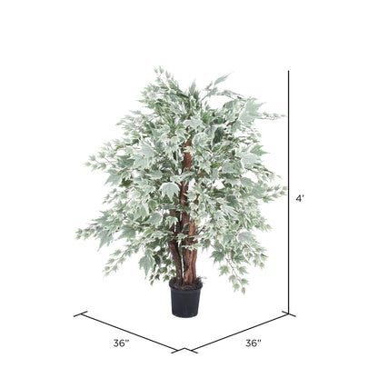 Vickerman 4' Artificial Silver Maple Extra Full Bush Black Plastic Pot.