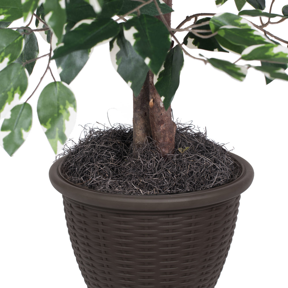 Vickerman 4' Artificial Variegated Ficus Bush Rattan Basket