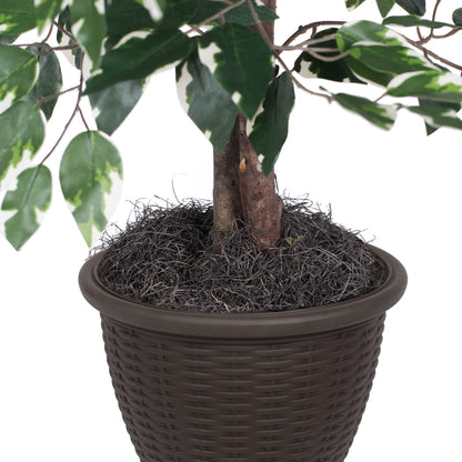Vickerman 4' Artificial Variegated Ficus Bush Rattan Basket