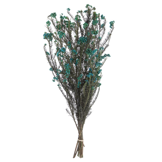 Vickerman 16" Blue Rice Flower. Comes in a 4.25 oz Bundle. Preserved