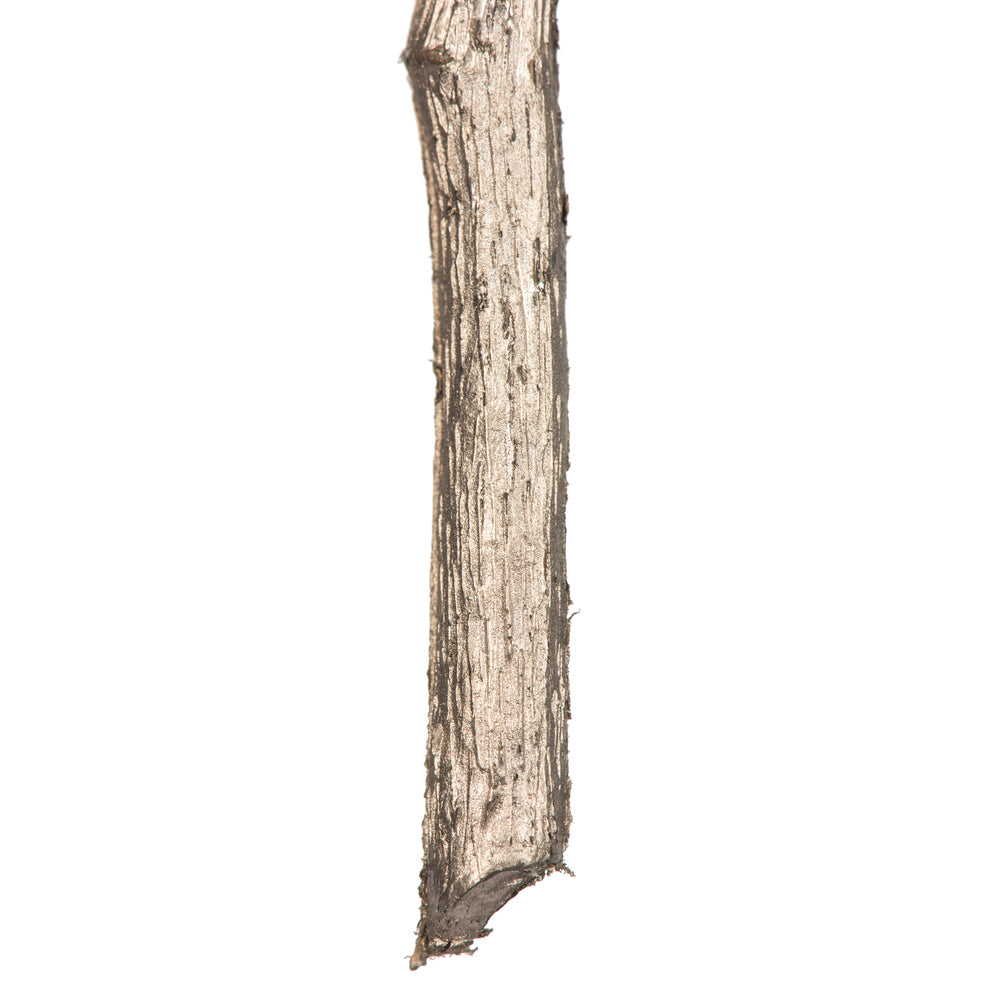 Vickerman 38" Artificial Champagne Needle Pine and Cone Spray. Includes 3 sprays per pack.